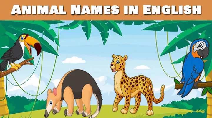 nomes-dos-animais-em-ingles-animal-names-in-english-nomes-dos-animais-em-ingles-dicionariodireito.com.br